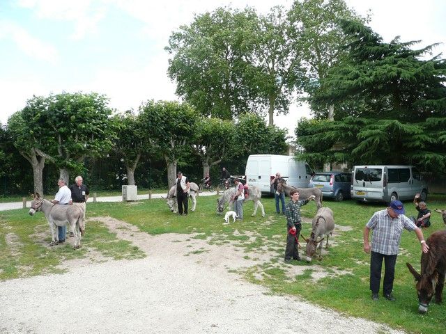 Le Parc 19 juillet 2012 (8).jpg